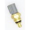 Holstein COOLANT TEMP SENSOR 2CTS0039 - alternate 2